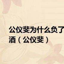 公仪斐为什么负了卿酒酒（公仪斐）