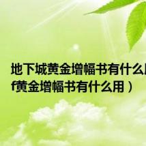 地下城黄金增幅书有什么用(dnf黄金增幅书有什么用)