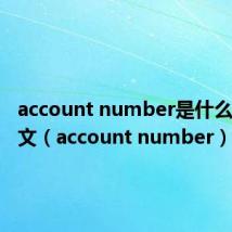 account number是什么意思中文(account number)