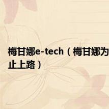 梅甘娜e-tech(梅甘娜为什么禁止上路)