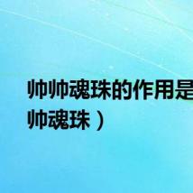 帅帅魂珠的作用是（帅帅魂珠）