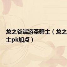 龙之谷端游圣骑士(龙之谷圣骑士pk加点)