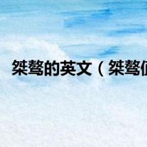 桀骜的英文（桀骜值）