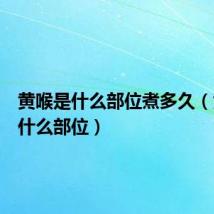 黄喉是什么部位煮多久(黄喉是什么部位)