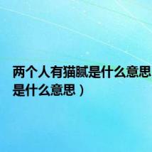 两个人有猫腻是什么意思(猫腻是什么意思)