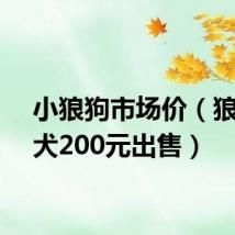 小狼狗市场价(狼狗幼犬200元出售)