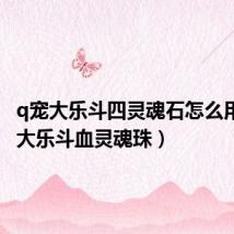 q宠大乐斗四灵魂石怎么用(q宠大乐斗血灵魂珠)