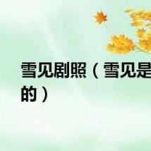 雪见剧照（雪见是谁演的）