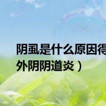 阴虱是什么原因得的（外阴阴道炎）