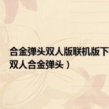 合金弹头双人版联机版下载v1(双人合金弹头)