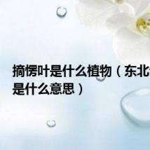 摘愣叶是什么植物(东北话摘愣是什么意思)