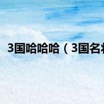 3国哈哈哈（3国名将）