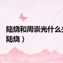 陆烧和周崇光什么关系（陆烧）