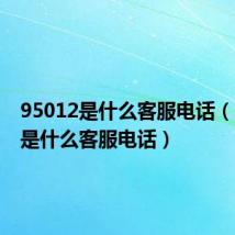 95012是什么客服电话(95010是什么客服电话)