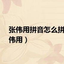 张伟用拼音怎么拼（张伟用）