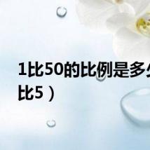 1比50的比例是多少(1比5)