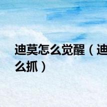 迪莫怎么觉醒（迪莫怎么抓）