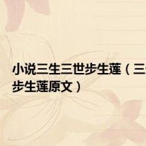 小说三生三世步生莲(三生三世步生莲原文)