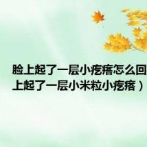 脸上起了一层小疙瘩怎么回事(脸上起了一层小米粒小疙瘩)