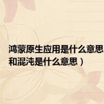 鸿蒙原生应用是什么意思(鸿蒙和混沌是什么意思)