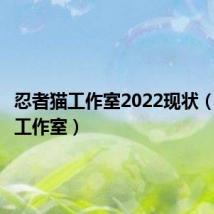 忍者猫工作室2022现状(忍者猫工作室)