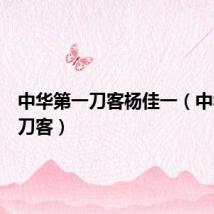 中华第一刀客杨佳一（中华第一刀客）