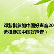 邓紫棋参加中国好声音2015(邓紫棋参加中国好声音)
