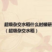 超级杂交水稻什么时候研制成功(超级杂交水稻)