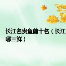 长江名贵鱼前十名(长江三鲜是哪三鲜)