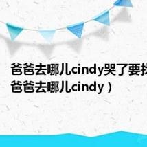 爸爸去哪儿cindy哭了要找爸爸(爸爸去哪儿cindy)