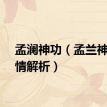 孟澜神功（孟兰神功剧情解析）