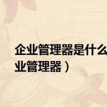 企业管理器是什么（企业管理器）