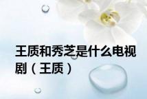 王质和秀芝是什么电视剧（王质）
