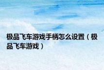 极品飞车游戏手柄怎么设置(极品飞车游戏)