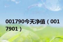 001790今天净值(0017901)