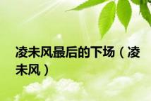 凌未风最后的下场（凌未风）