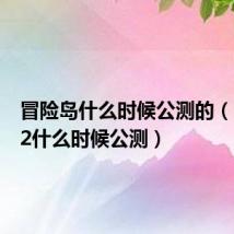 冒险岛什么时候公测的(冒险岛2什么时候公测)