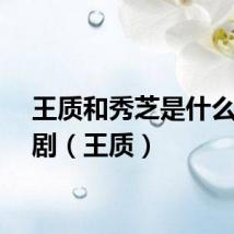 王质和秀芝是什么电视剧（王质）