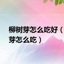 柳树芽怎么吃好（柳树芽怎么吃）