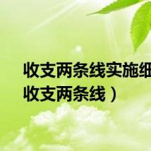 收支两条线实施细则（收支两条线）