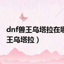 dnf兽王乌塔拉在哪(兽王乌塔拉)