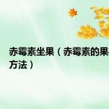 赤霉素坐果（赤霉素的果树使用方法）