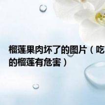 榴莲果肉坏了的图片(吃了熟透的榴莲有危害)