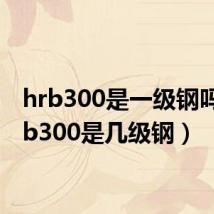 hrb300是一级钢吗(hrb300是几级钢)