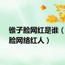 锥子脸网红是谁（锥子脸网络红人）