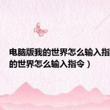 电脑版我的世界怎么输入指令(我的世界怎么输入指令)