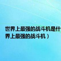 世界上最强的战斗机是什么(世界上最强的战斗机)
