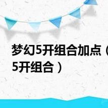 梦幻5开组合加点(梦幻5开组合)