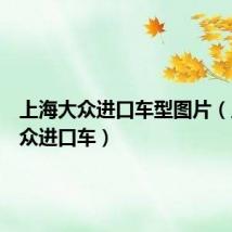 上海大众进口车型图片(上海大众进口车)
