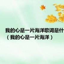 我的心是一片海洋歌词是什么意思(我的心是一片海洋)
